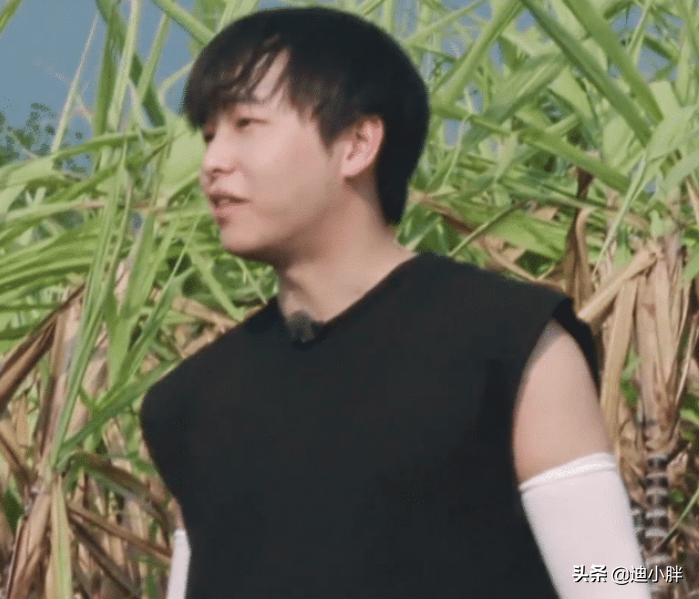 叫任嘉伦太陌生，叫哥哥太肉麻，有谁注意彭昱