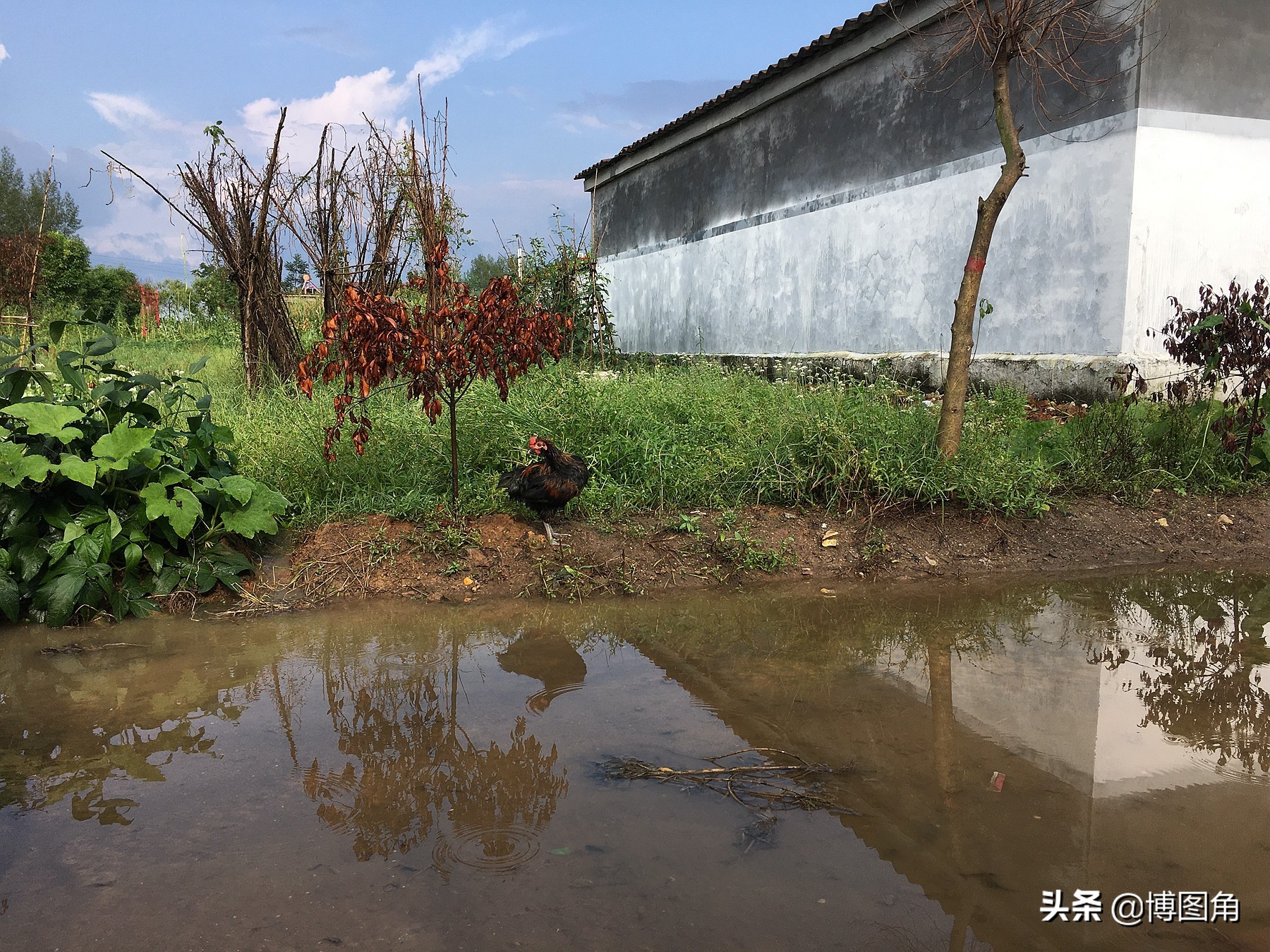 " my countryside I civilian " my 2020 | In the mobile phone video in August, from Qin Huang the island returns