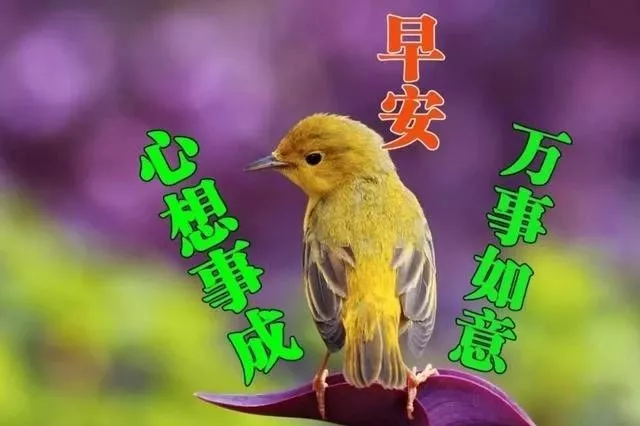 清新的空气，快乐的气息，将阳光呼吸，将幸福抱起，朋友，早安