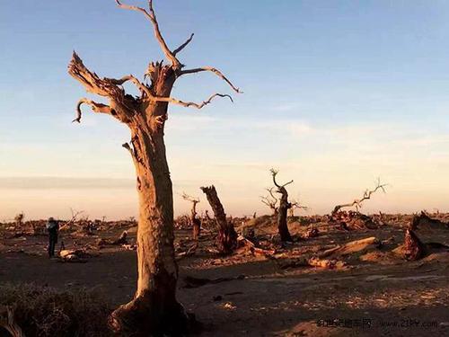 十八年后还是一条好汉,大家对于死亡有什么看法?