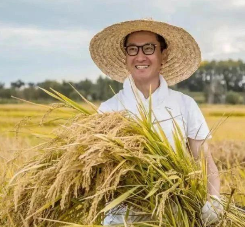 捐了两万斤大米还被骂的周杰，究竟做错了什么