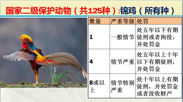 国家最新125类二级野生保护名录，图片及违法对应刑责