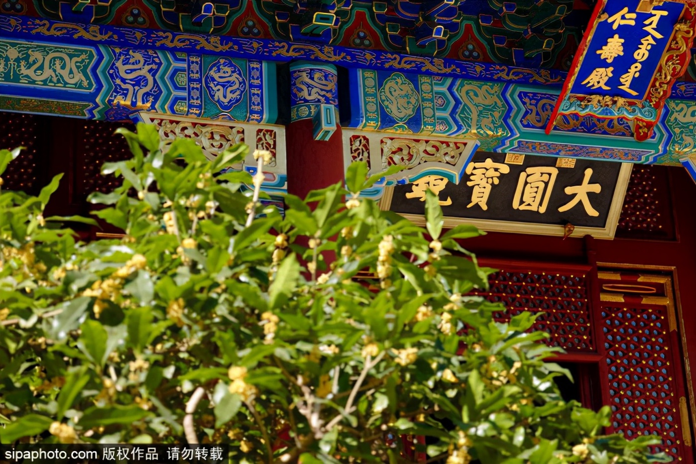 純干貨！國慶北京游玩指南！25個目的地，全都是精品級！