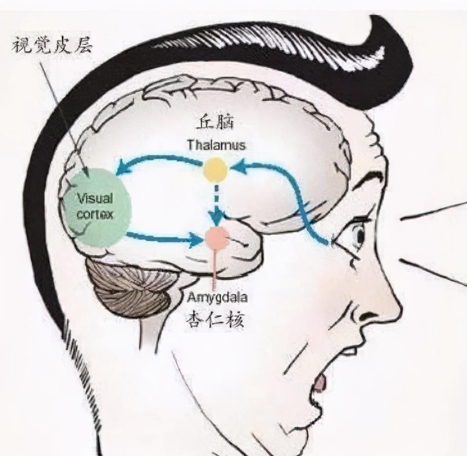 ��ɫ��Ů��ѧ�ҽ�����������