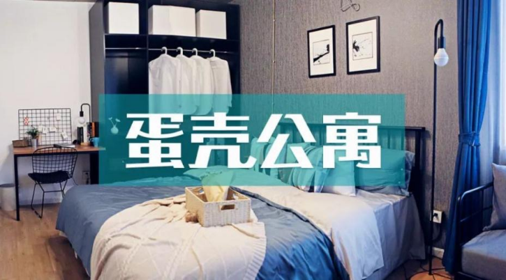 蛋壳公寓陨落史