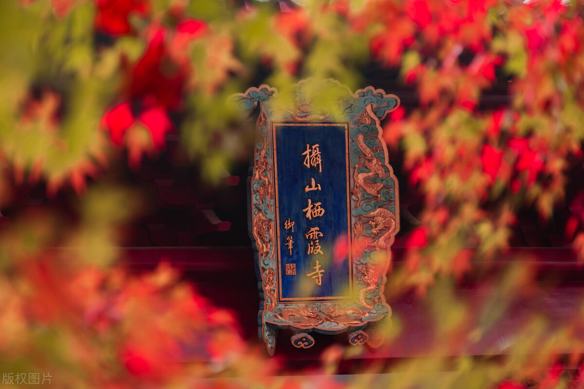 南京的秋天，美成了金陵该有的样子，谁能不爱？插图60