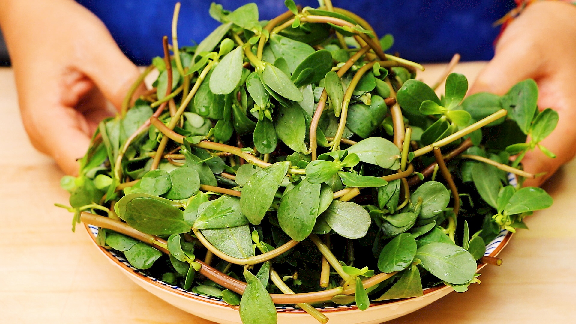 西安鸿福宴酒店管理分享马齿苋新吃法油炸菜疙瘩没有酸味外焦里嫩非常