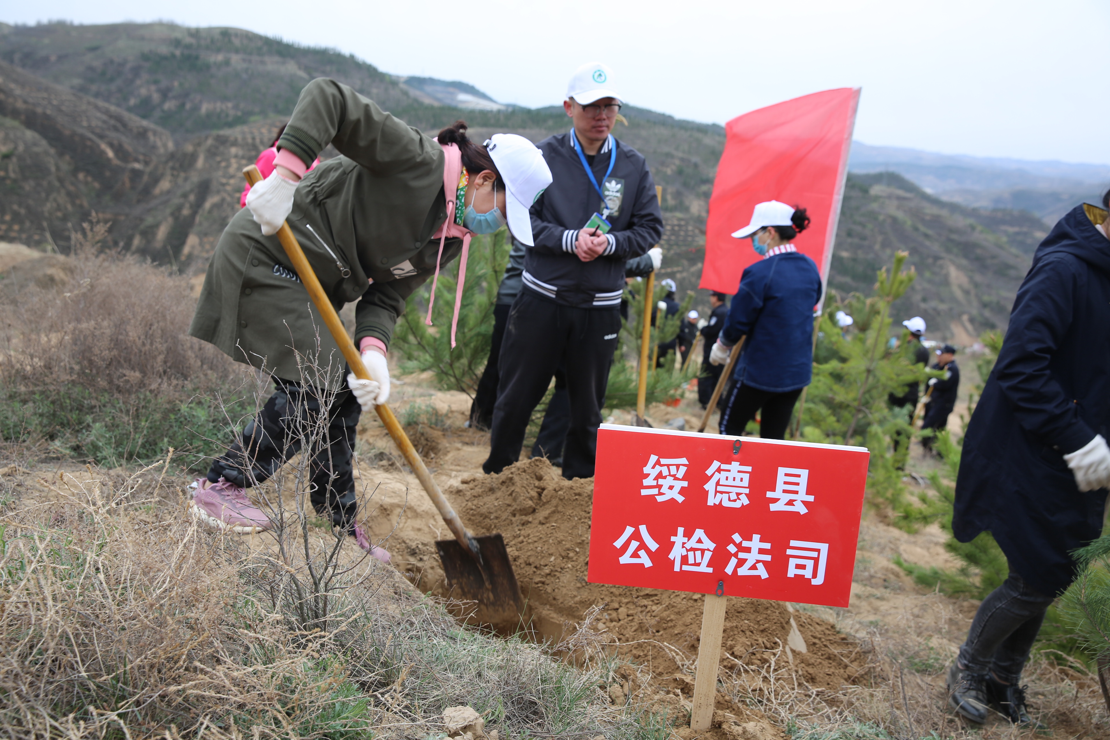 “我为群众办实事”| 绥德法院开展义务植树活动，将绿意种在春天里
