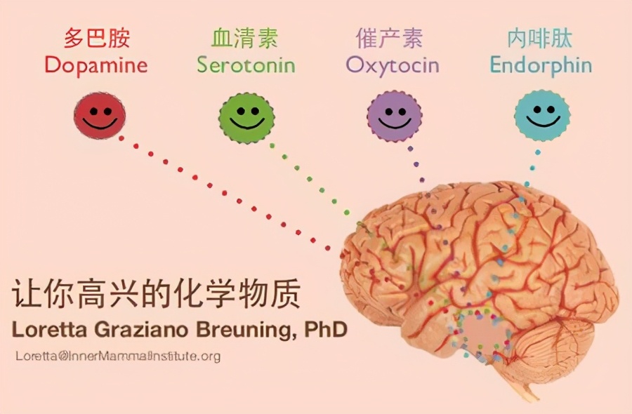 改善情绪的8种自然疗法，让你的血清素自然分泌，满脑子都是喜悦