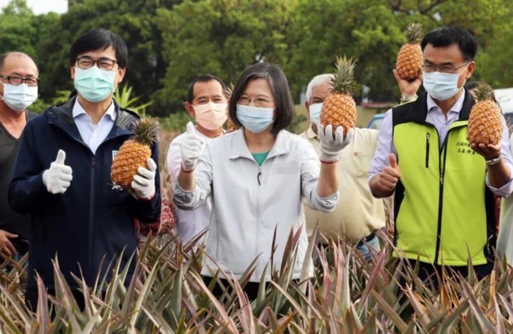 台媒感嘆，大陸禁運台灣菠蘿是四兩撥千斤，震撼力強過導彈軍演