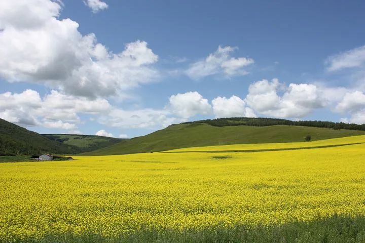 这三条自驾线路超美，草原、湖泊、奶酒烤全羊，去过的人都疯了