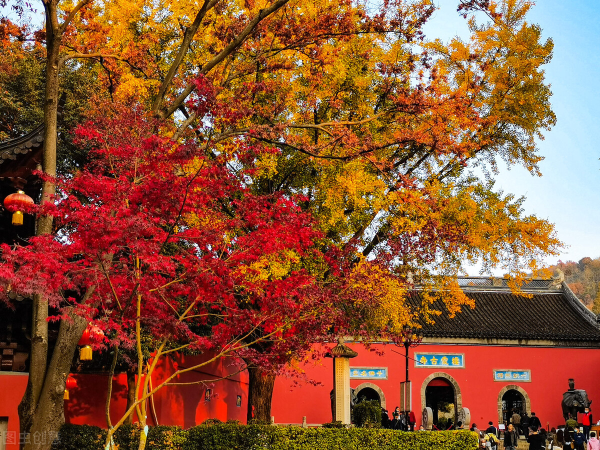 南京的秋天，美成了金陵该有的样子，谁能不爱？插图53