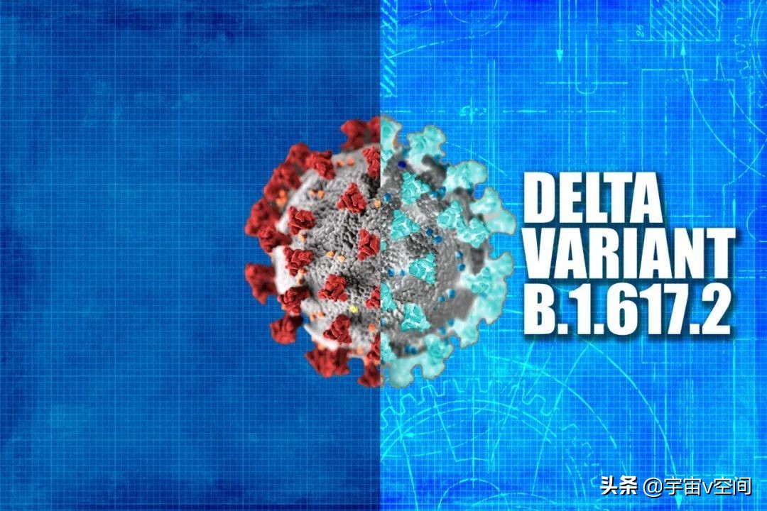 德尔塔入侵，国内出现新冠确诊病例，未来疫情或将朝三个方向发展