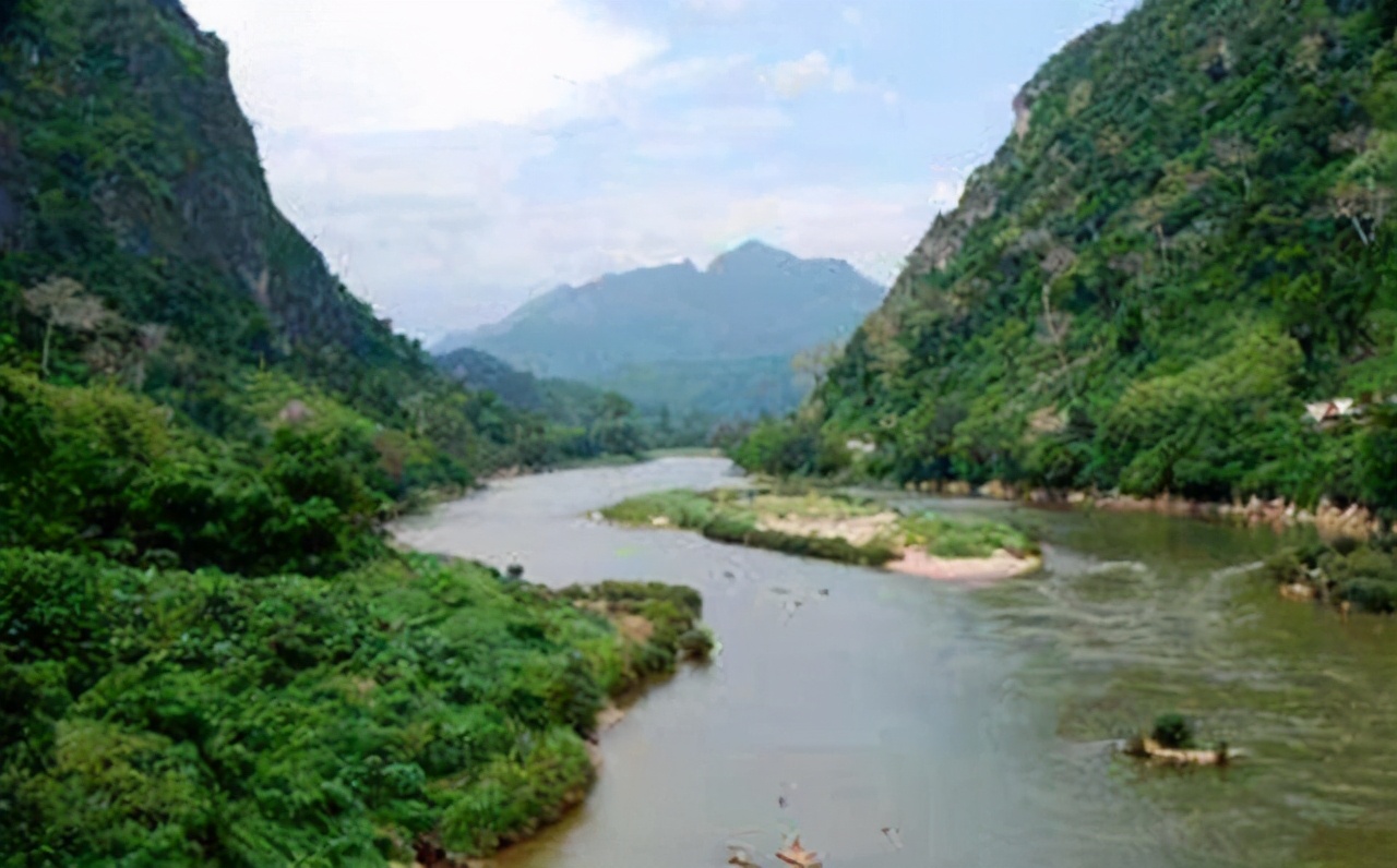 湄公河巨鲶别看它大，但它不吃人