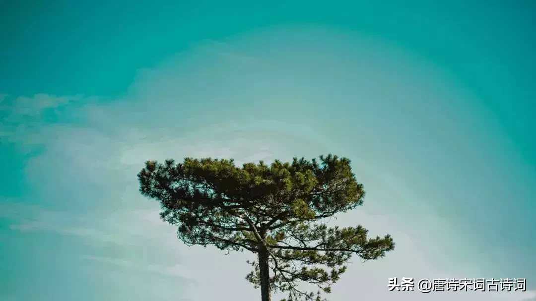 无比深情的十首爱情诗,每每读来都被其中凝含的深情所感动-第6张图片-非凡网 无比深情的十首爱情诗,每每读来都被其中凝含的深情所感动-第6张图片-非凡网