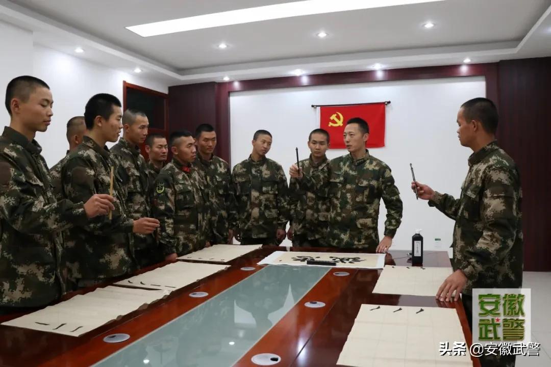 除了长得好看的，这些“专业的”也上交国家了！
