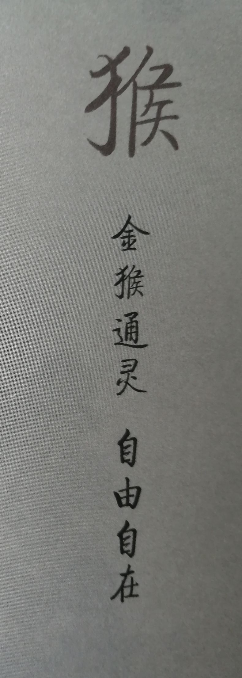 漢字說十二生肖之 猴 看新聞