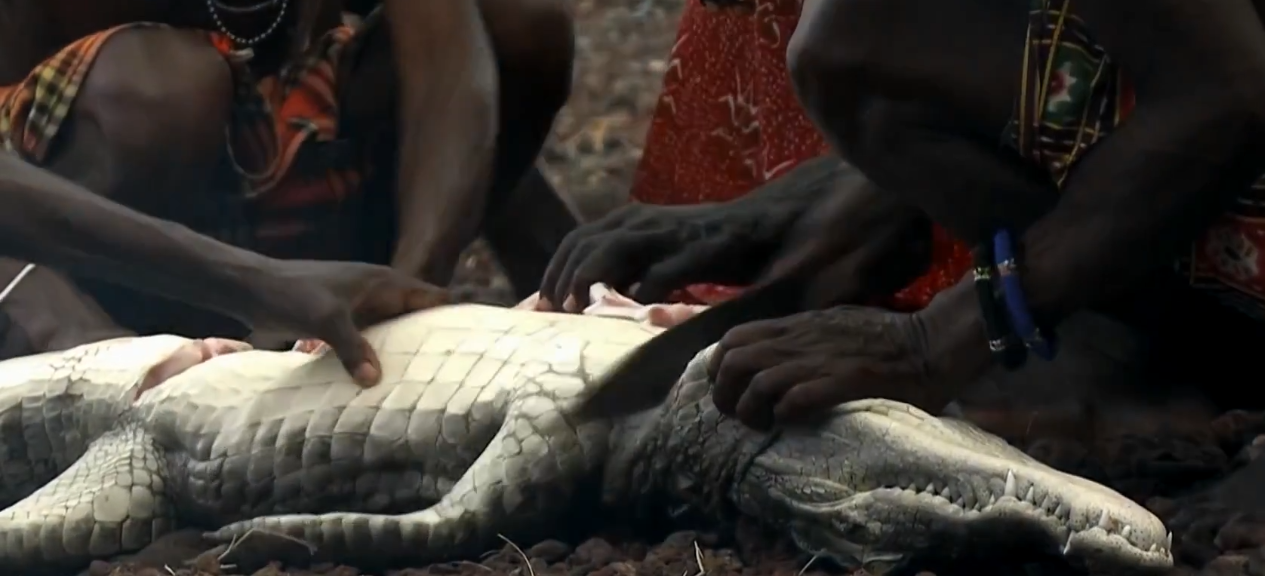 只吃鱼的非洲部落，没鱼就捕杀鳄鱼吃，从不吃其他的