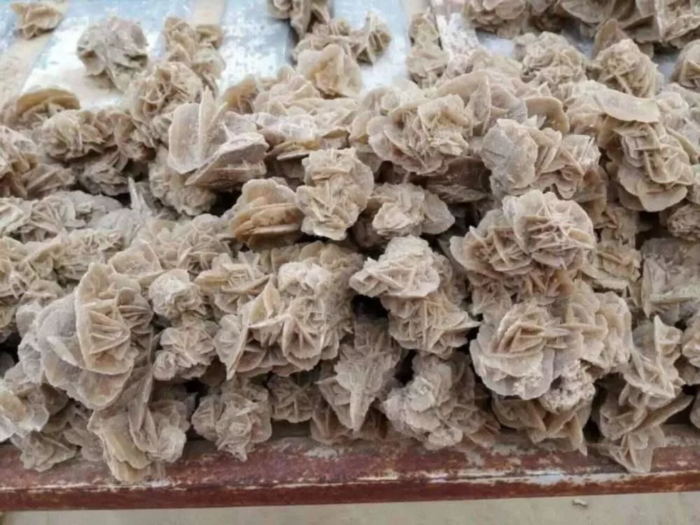 为啥在沙漠中见到“石头”要捡起来？驴友：不