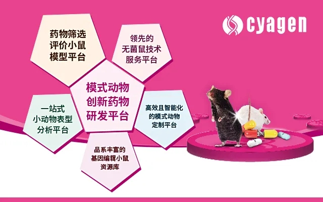 聚焦医药研发，八月末两场会议圆满落幕