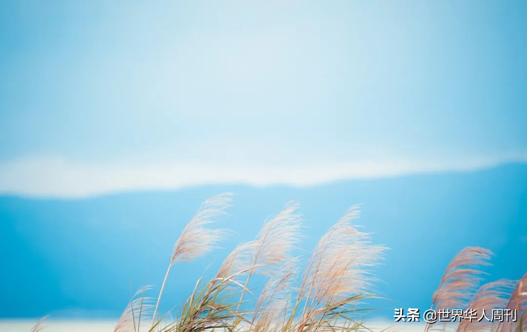 在轮椅上度过了38年的史铁生，为什么被称作“时代的巨人”？-第10张图片-大千世界