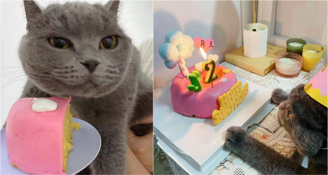 һ��è�����롰����ʱ����