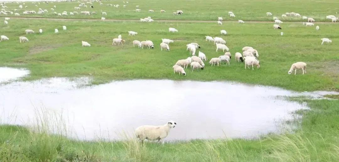 ҕ315ֱ⾫ƞʳİȫ