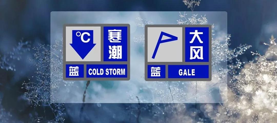 【天气】大风、寒潮双预警高挂，明天气温直降逾12度！