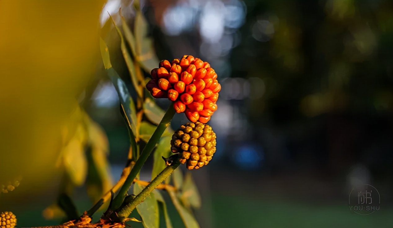遇事有水平的四種處理方式