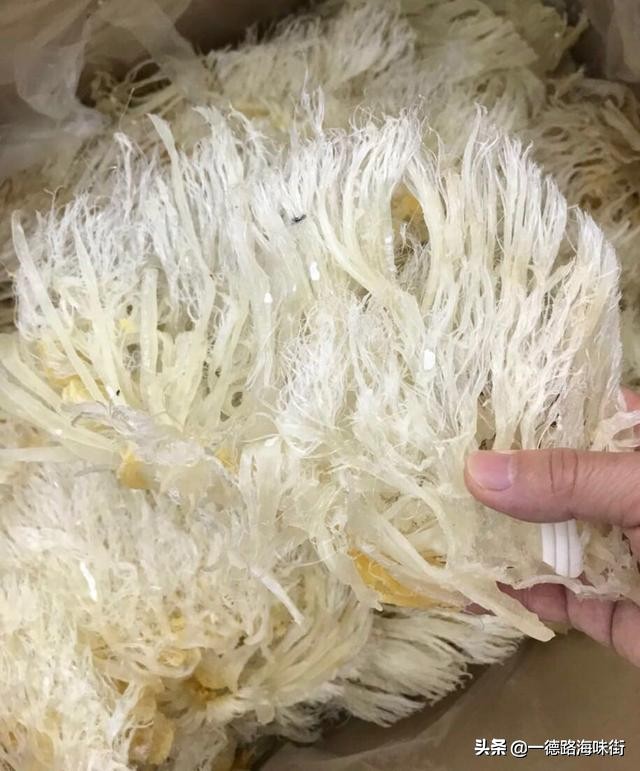 鱼翅的由来历史,种类,营养功效及品鉴