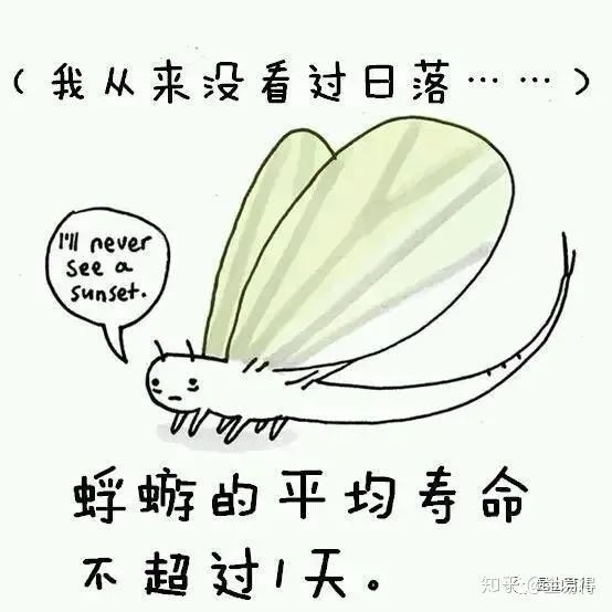 30個(ge) 有趣的科普小星空体育官网入口网站，你知道幾個(ge) ?