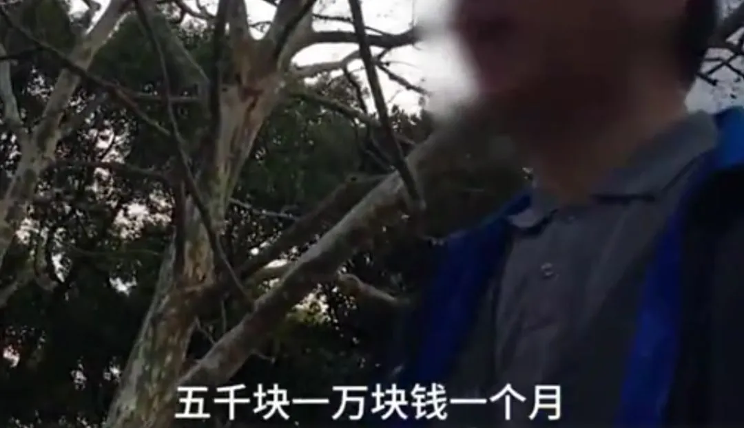 香港情侣在5平米廉租房的一幕,撕开了穷人最心酸的遮羞布