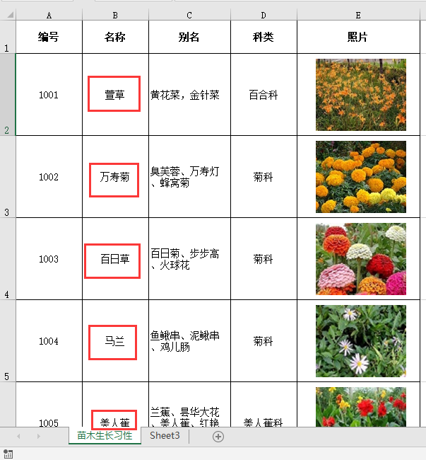 Excel | VBA—批量导出图片并重命名