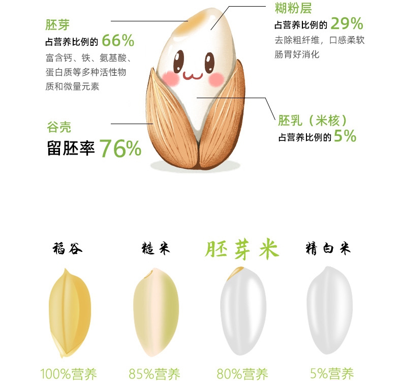 少年润土稻花香遇见胚芽米鲜活营养