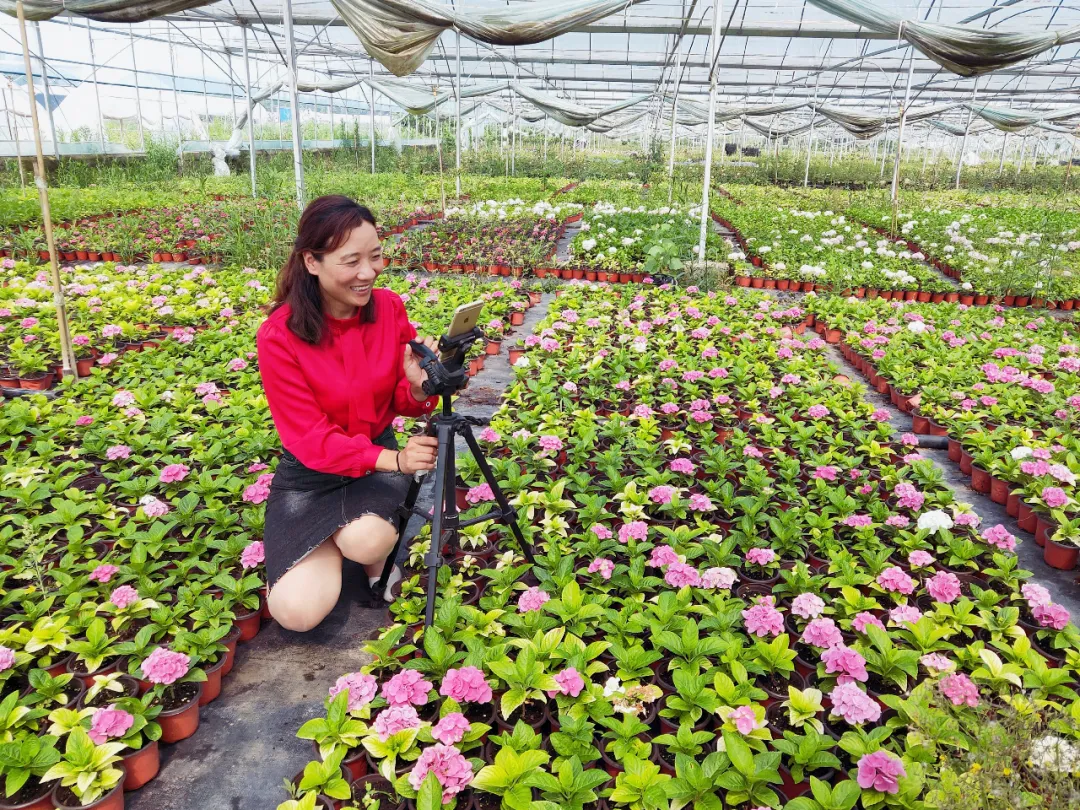 沭陽：讓花鄉美起來，成為美麗江蘇的美麗公園