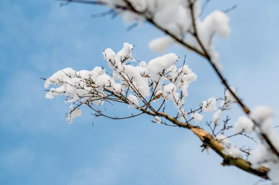 这10首绝美诗词，不带一个雪字，却写尽雪之美！叹为观止-第2张图片-非凡网