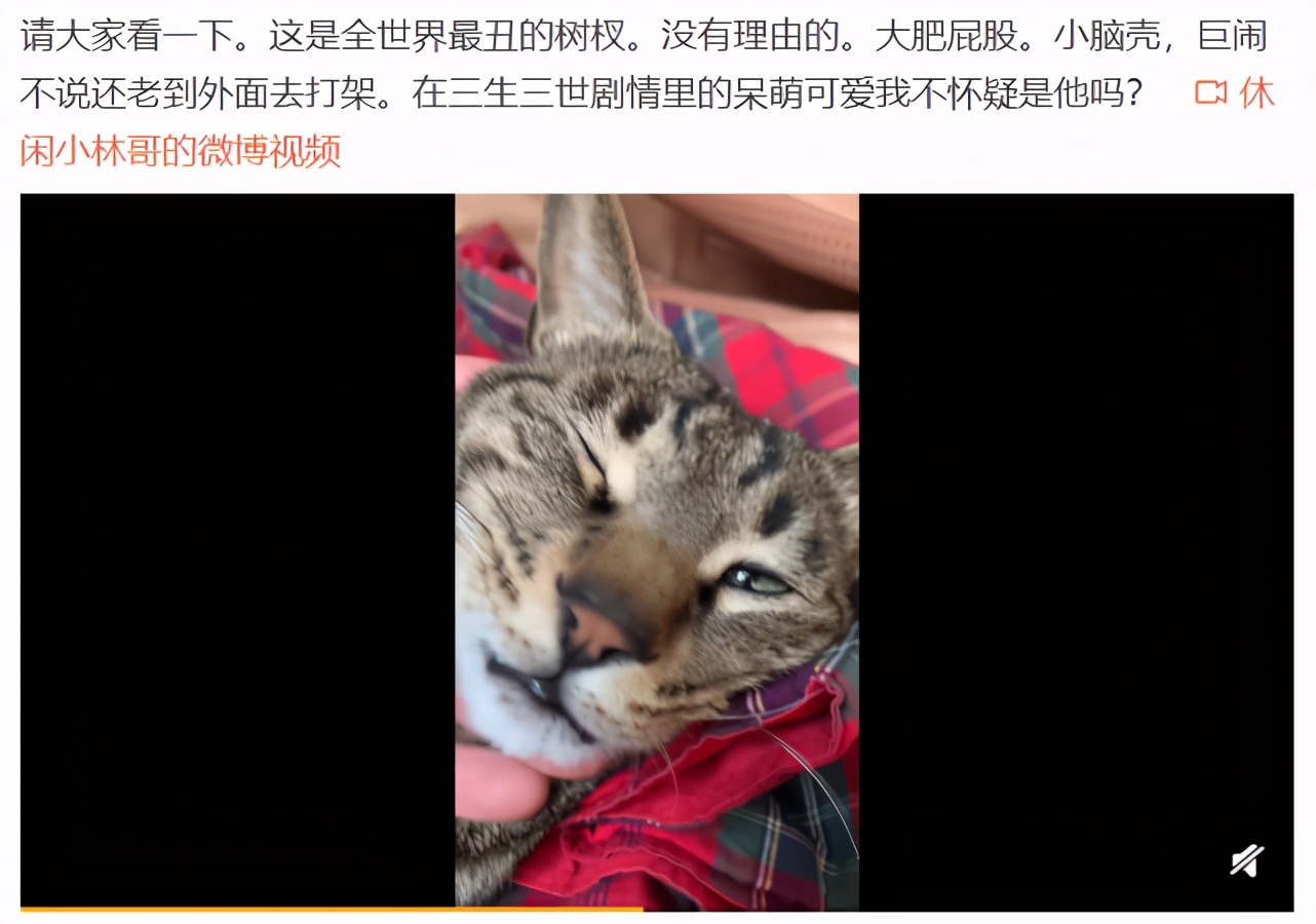 关晓彤郑爽杨幂，仨女星爸爸一个比一个厉害