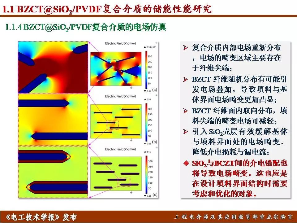 哈尔滨理工大学迟庆国：储能型聚合物基绝缘介质的效率与密度优化