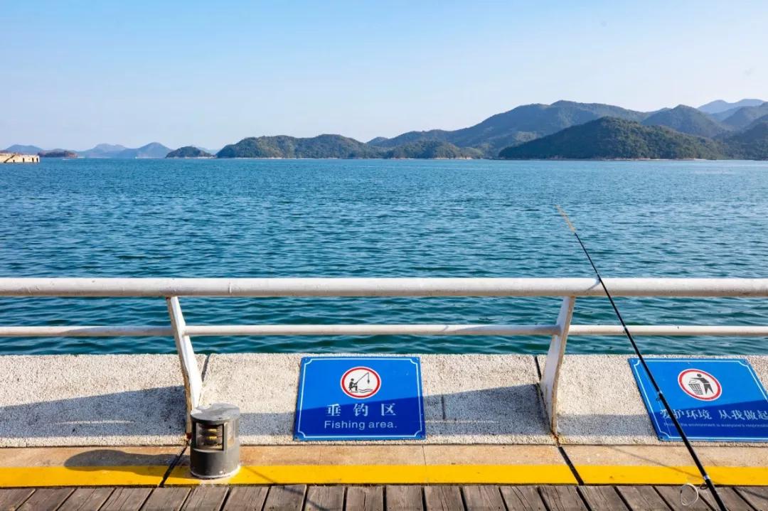 冬天看海的执念，就让温暖的深圳帮忙实现
