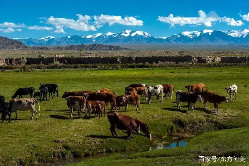 让艺术驻留“天境昌马”——玉门昌马旅游规划项目评审会圆满结束