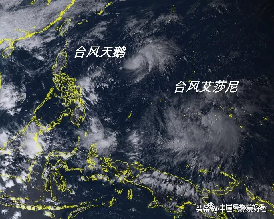 双台风来了!天鹅、艾莎尼同日生成,它们会不会登陆我国?