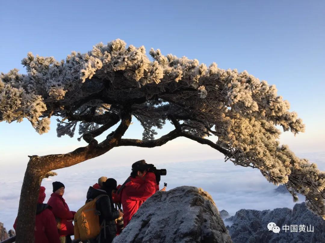 【冬雪黄山】张跃进：童话黄山