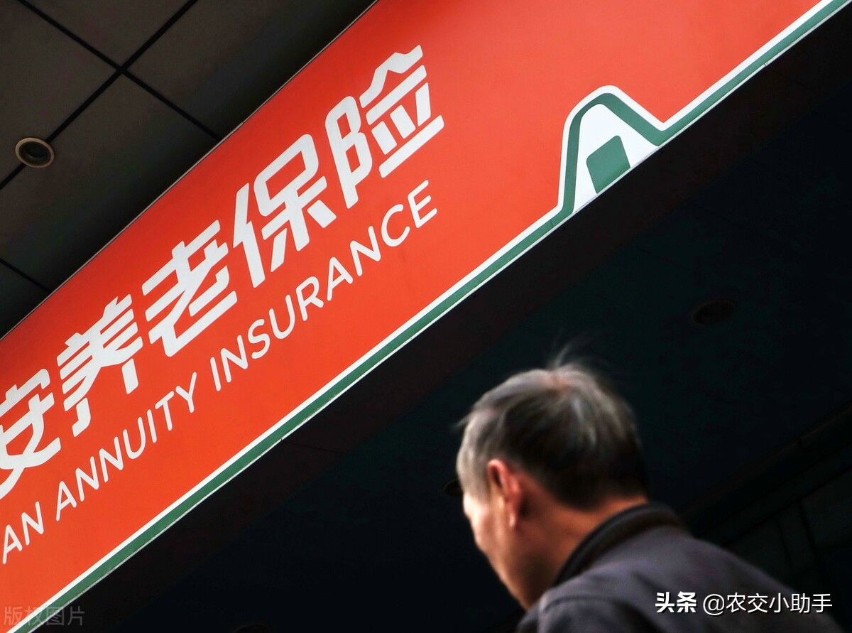 算算：新农保交500元15年能领多少钱，一次性可补交40年？