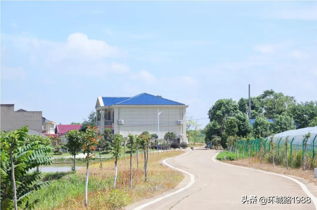 这里是,杨店