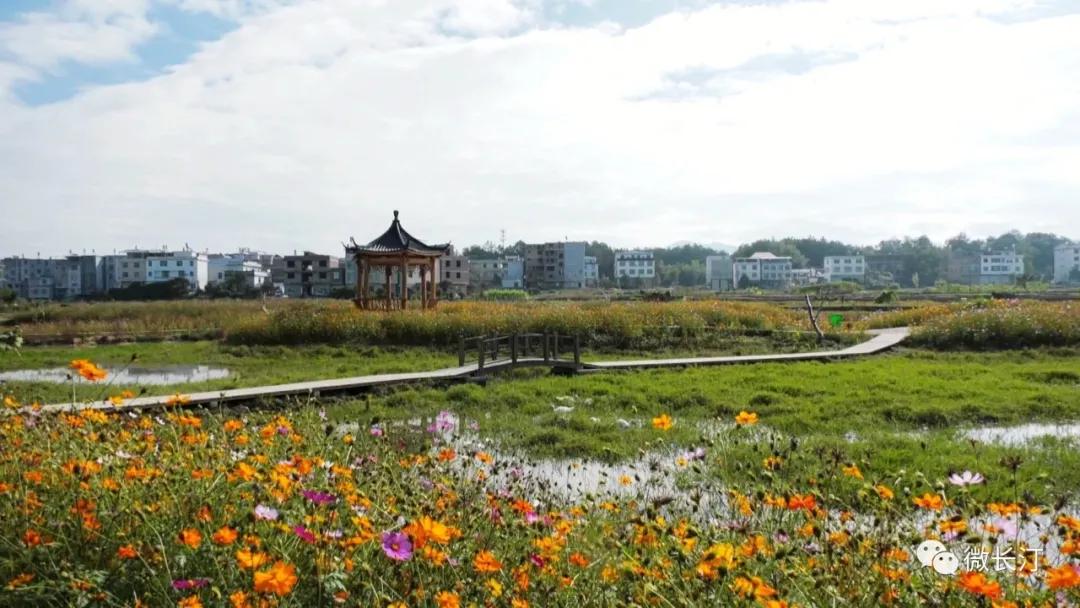 长汀县三洲镇串点成线打造生态旅游精品路线