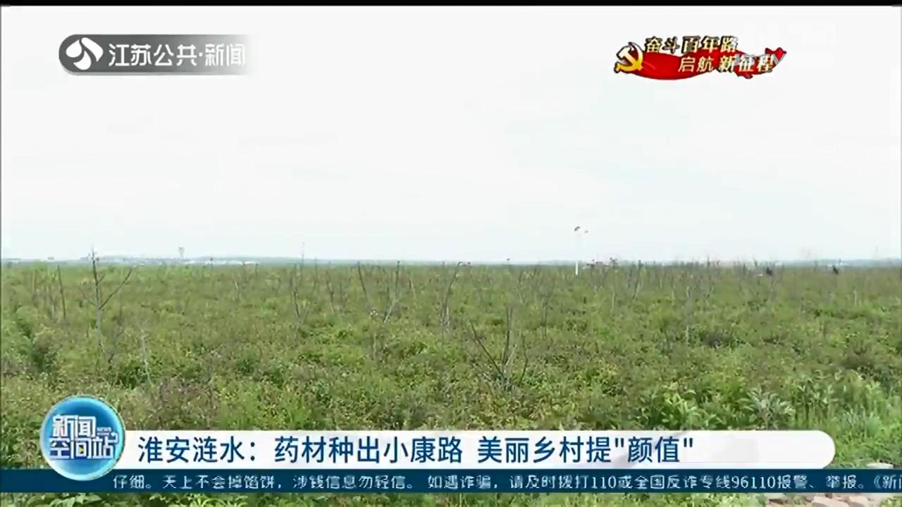 淮安涟水：药材种出小康路 美丽乡村提&ldquo;颜值&rdquo;