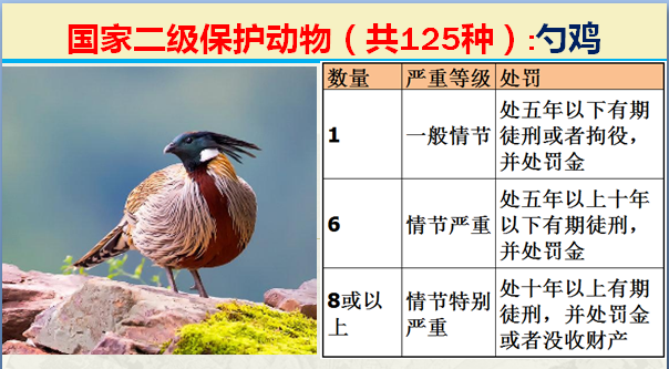 国家最新125类二级野生保护名录，图片及违法对应刑责