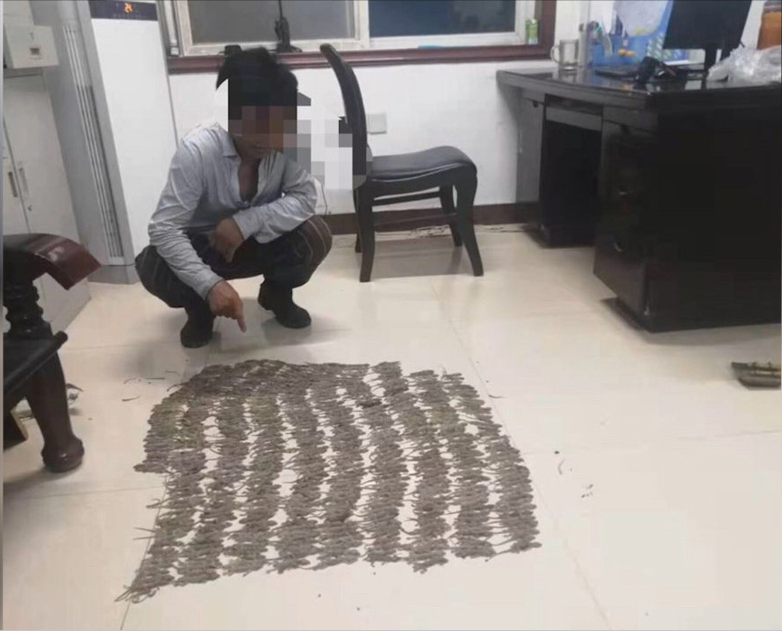 为母治病抓490只壁虎？河南两男子涉嫌犯罪被捕，壁虎不能乱抓