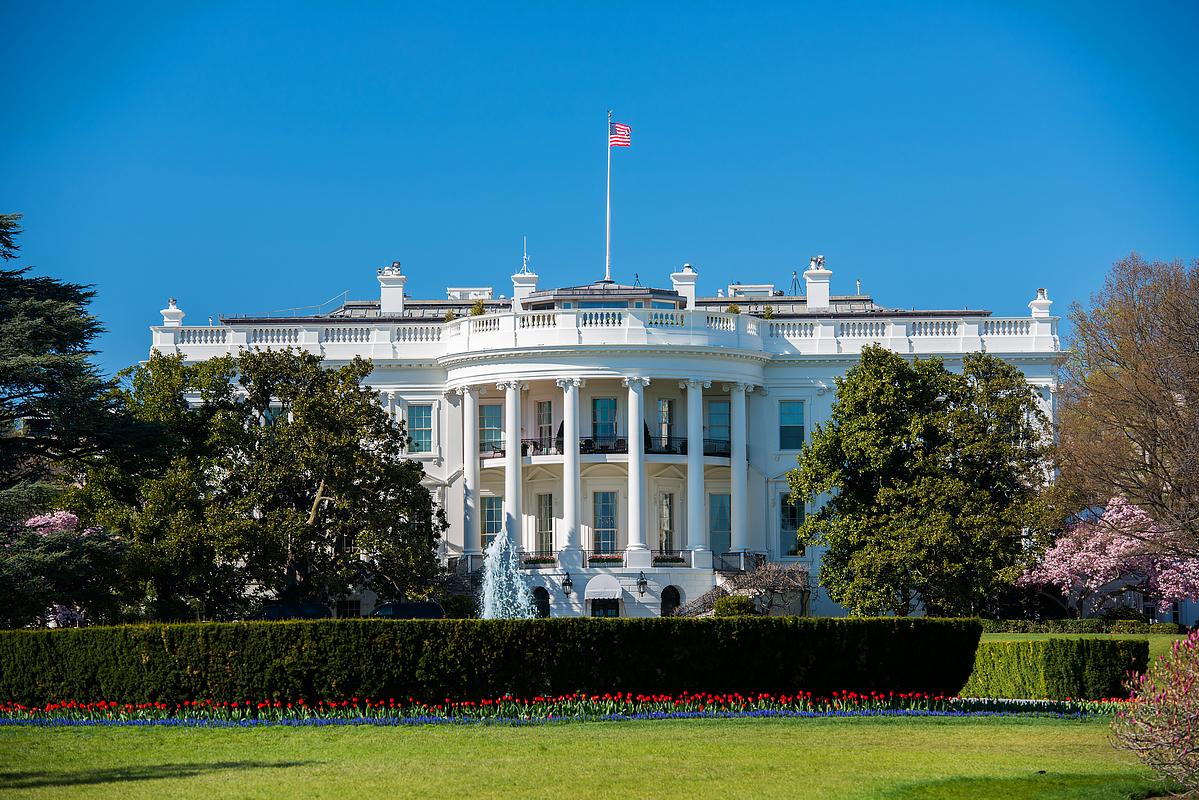 �����е���˭��Ȩ�����