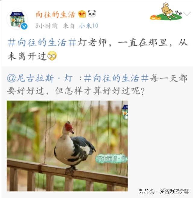 “一线男星”遭王珞丹申请退货，客服何炅在线